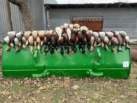 Temple Texas Duck Hunts w/ Lodging & Meals