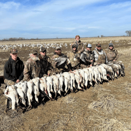 Arkansas Conservation Snow Goose Hunts