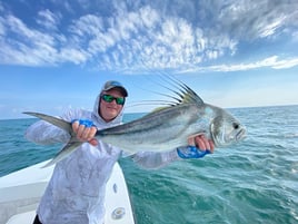 The Bite Sportfishing