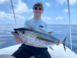 The Bite Sportfishing