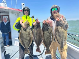 Halibut / Bass