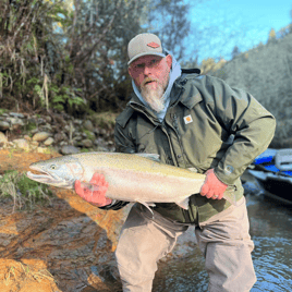 Winter Steelhead