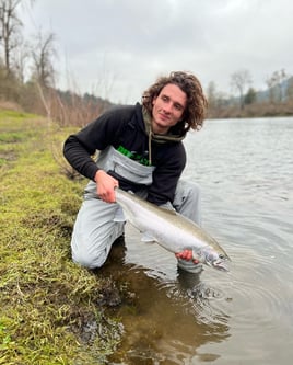 Spring Chinook Salmon