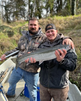 Spring Chinook Salmon