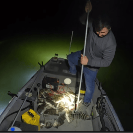 Sheepshead Fishing in Crystal River, Florida