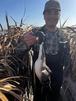 Fully Guided Duck Hunts