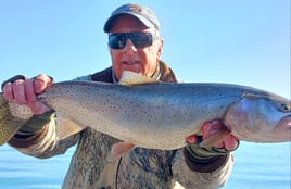 Pyramid Lake Trophy Cutthroats