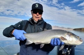 Pyramid Lake Trophy Cutthroats