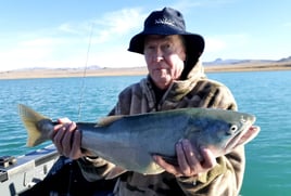 Pyramid Lake Trophy Cutthroats