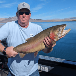 Pyramid lake trophy cutthroat trout boat trips