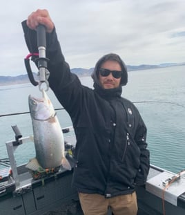 Pyramid Lake Trophy Cutthroats