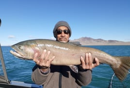 Pyramid Lake Trophy Cutthroats