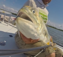 Fly Fishing in Savannah