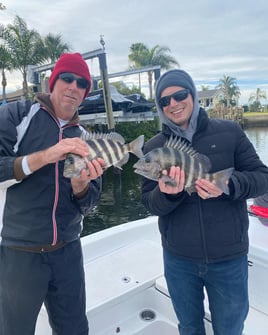 4-6 Inshore half day trip