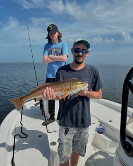 4-6 Inshore half day trip