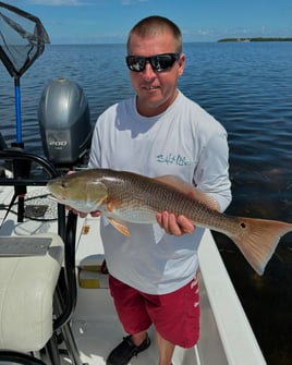 4-6 Inshore half day trip