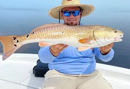 4-6 Inshore half day trip