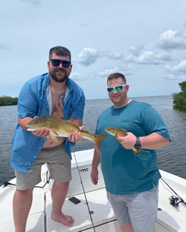 4-6 Inshore half day trip