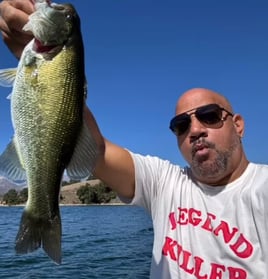 Pontoon Boat fishing