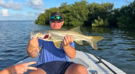 Snook Fishing in Islamorada, Florida