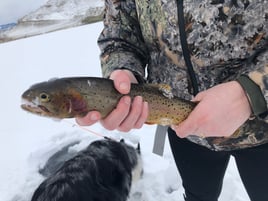 Ice fishing a variety of species