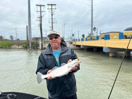 Bay fishing