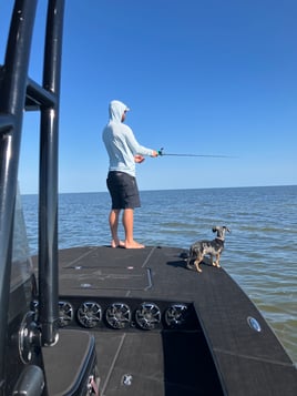 Bay fishing