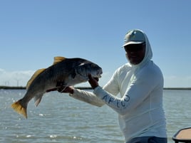 Bay fishing