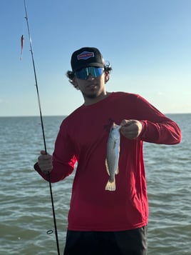 Bay fishing