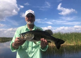 4 Hour Bass Fishing Trip