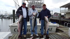 Cape May Inshore Trip