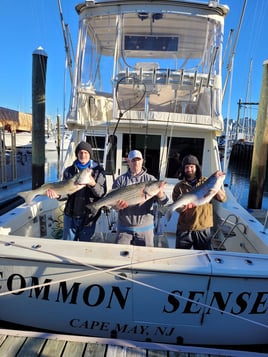 Cape May Inshore Trip