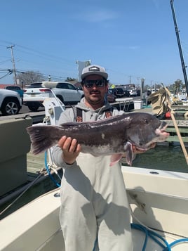 Cape May Inshore Trip