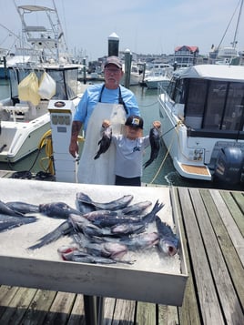 Cape May Inshore Trip