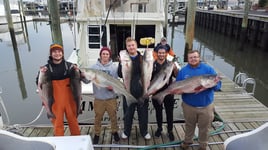 Cape May Inshore Trip