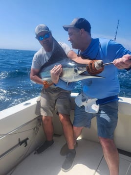 Swordfish Fishing in Cape May, New Jersey