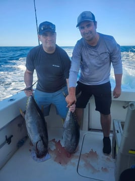 Yellowfin Tuna Fishing in Cape May, New Jersey