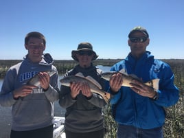 Inshore Fishing Charters