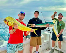 Mahi Mahi Fishing in Murrells Inlet, South Carolina