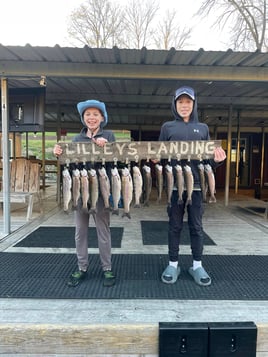 LAKE TANEYCOMO TROUT FISHING