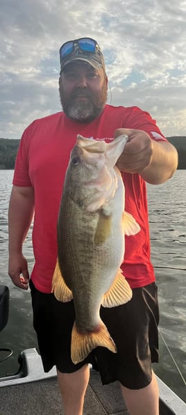 Lake Guntersville Fishing | 4 To 8 Hour Charter Trip