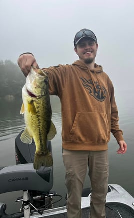 Lake Guntersville Fishing | 4 To 8 Hour Charter Trip