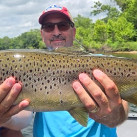 Taneycomo Trout Fishing