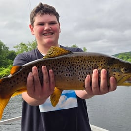 Taneycomo Trout Fishing