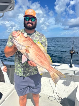 Gulf Reef Fishing