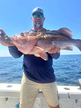 Gulf Reef Fishing