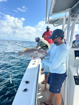 Gulf Reef Fishing