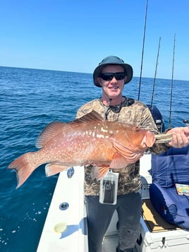 Gulf Reef Fishing