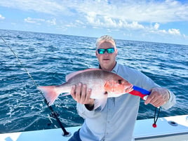 Gulf Reef Fishing