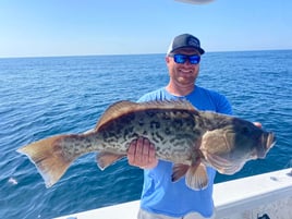 Gulf Reef Fishing